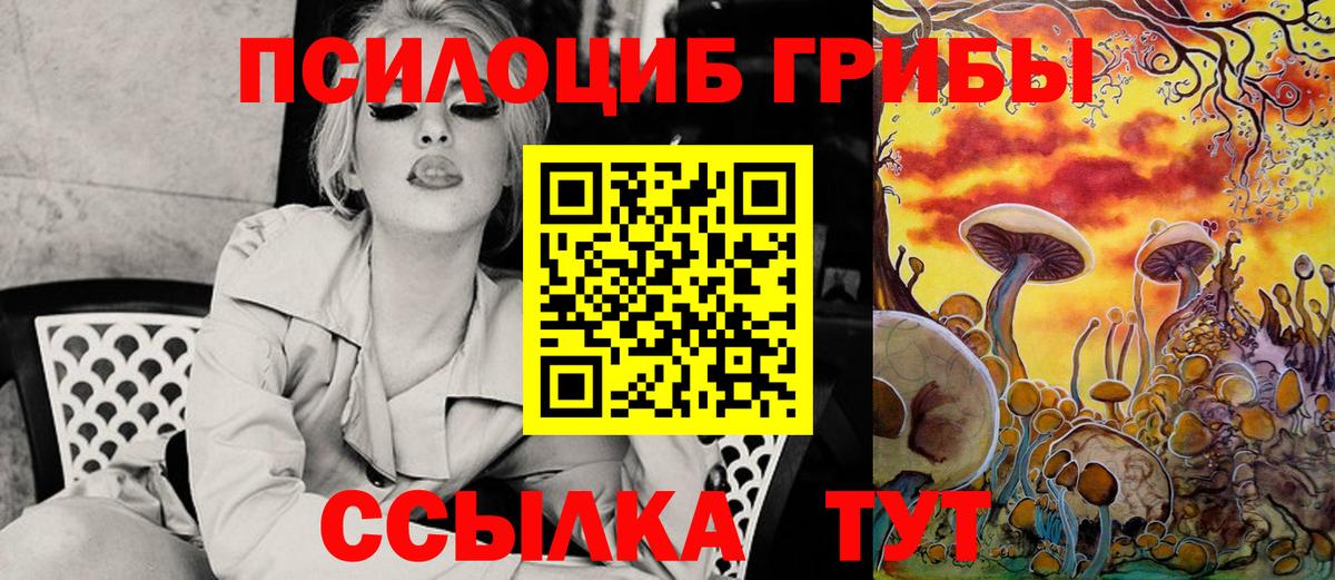 Псилоцибиновые грибы GOLDEN TEACHER  Вход с VPN  Кингисепп 