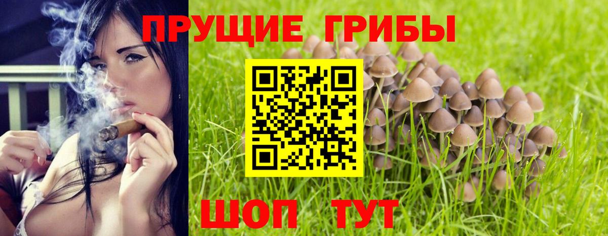 Галлюциногенные грибы прущие грибы Кингисепп